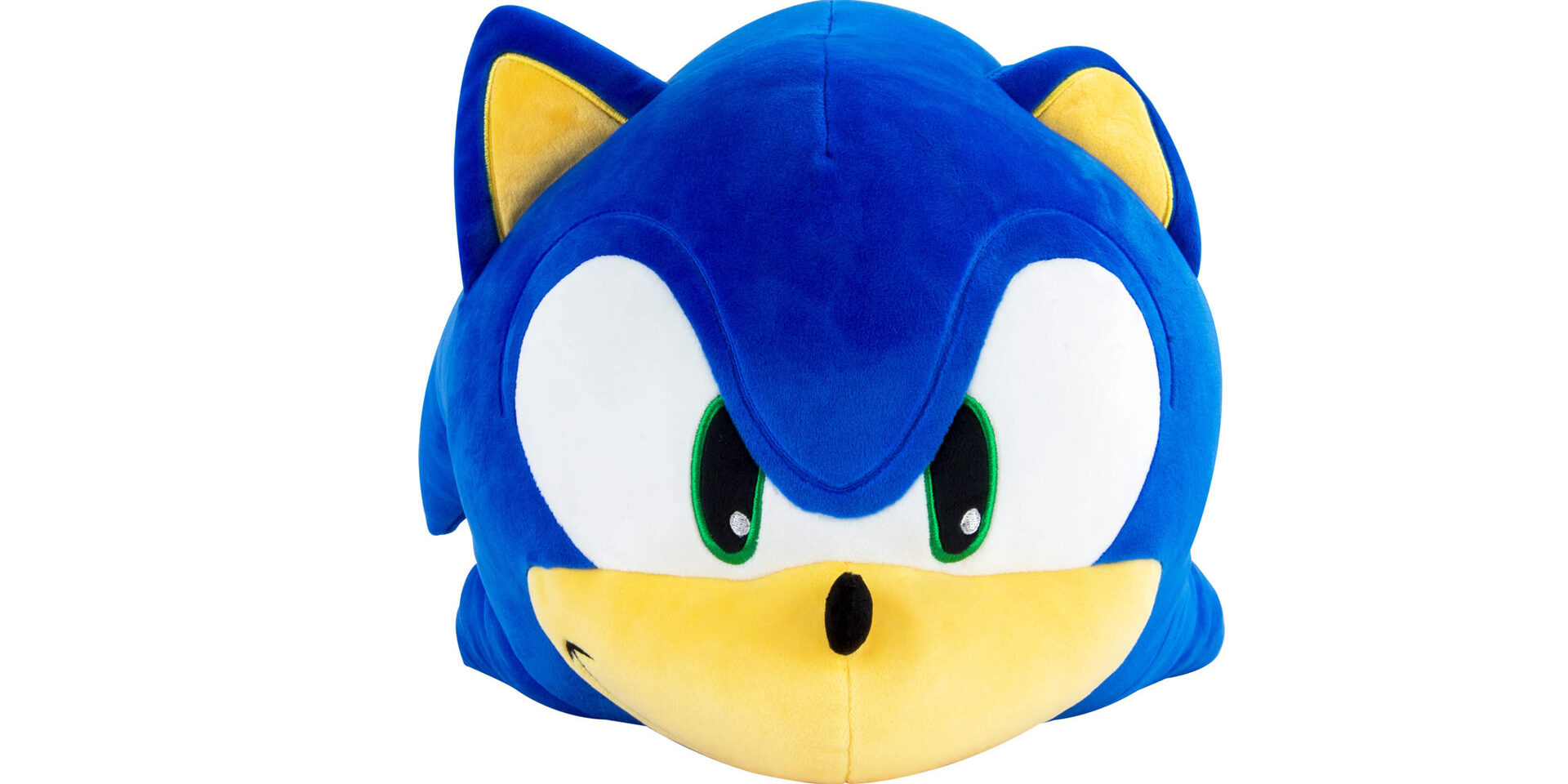 Sonic the Hedgehogpup1