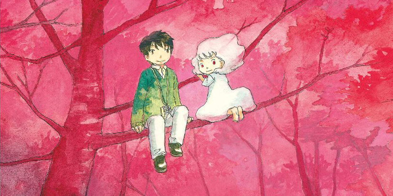 Aomanju – La foresta degli spiriti3